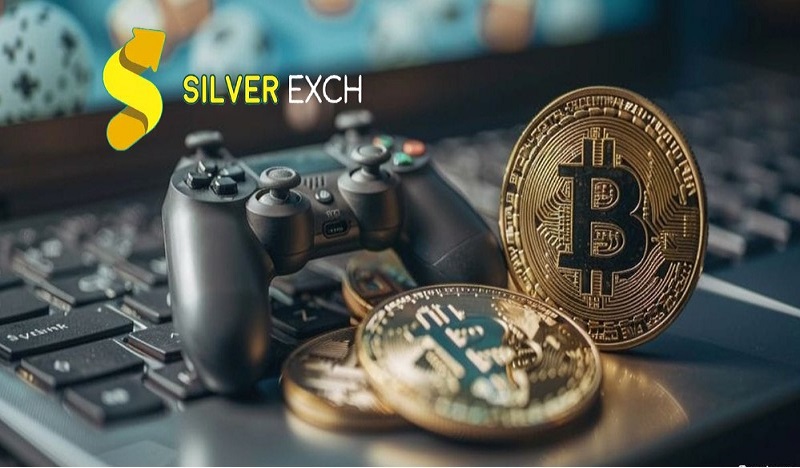 Exploring the Silver Exchange Online Gaming Platform