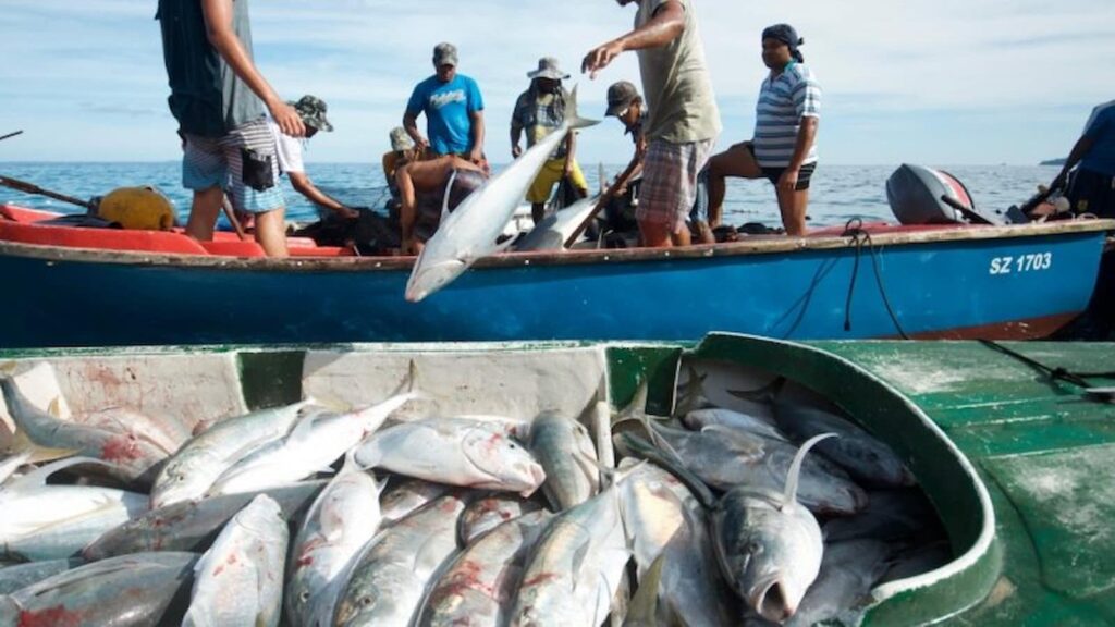 The Best Fishing Trip in Qatar: A Fisherman’s Paradise