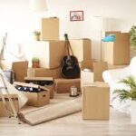 Heavy Item Moving Services in Tampa