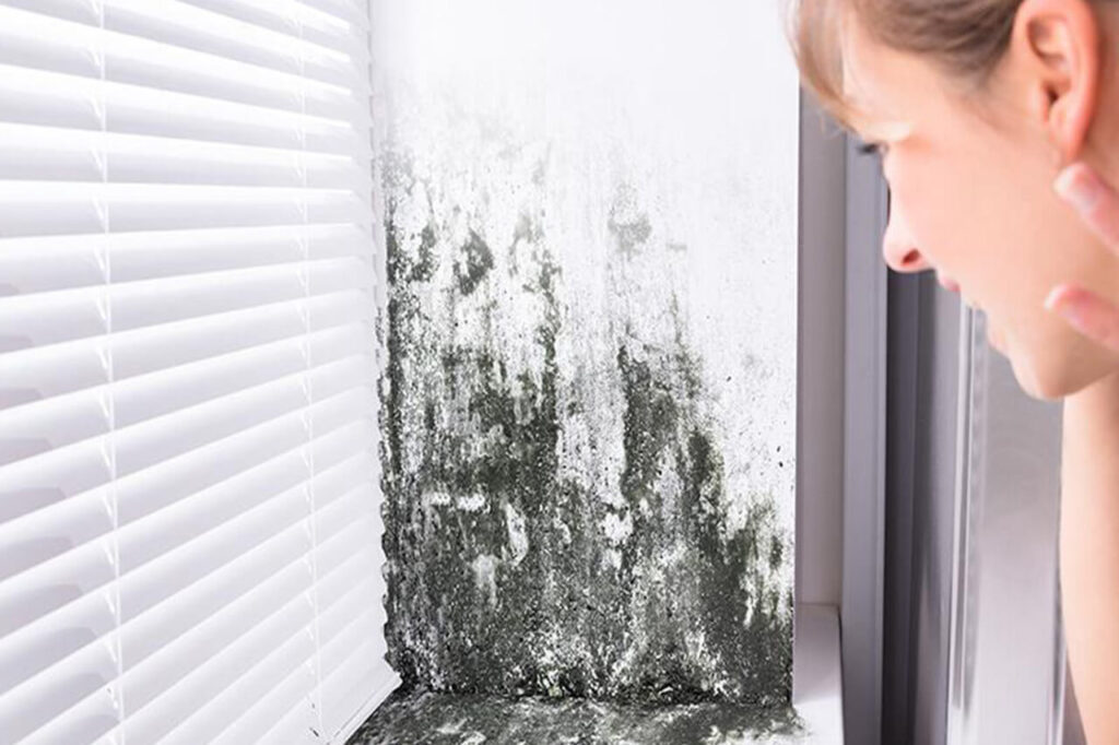 Effective Mould Prevention Tips for a Healthier Home