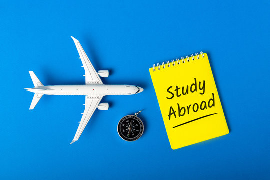 How Studying Abroad Builds Cross-Cultural Skills and Global Perspectives?