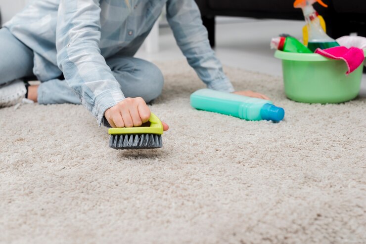 What Makes Carpet Cleaning Staten Island Unique?