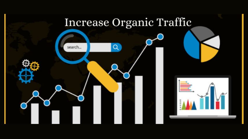 How to Improve Your Organic Search Rankings