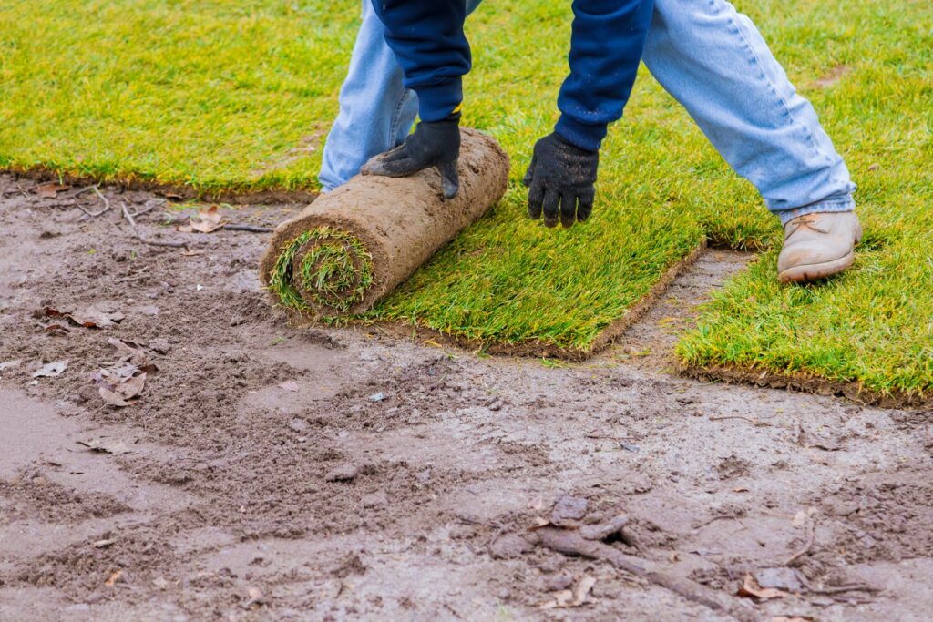 How to Install Sod in High-Traffic Areas